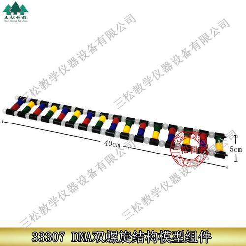 33307DNA双螺旋r结构模型组件生物实验演示DNA组成教学仪器