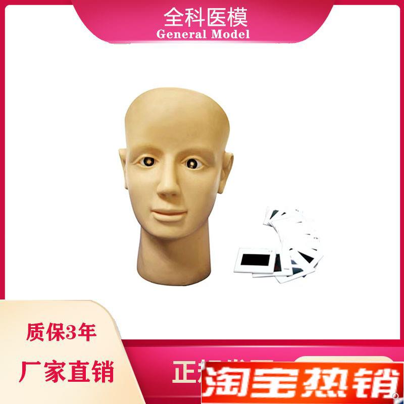 眼视网膜病变训练模型眼s球检查练习养老护理高血压糖尿病人眼睛