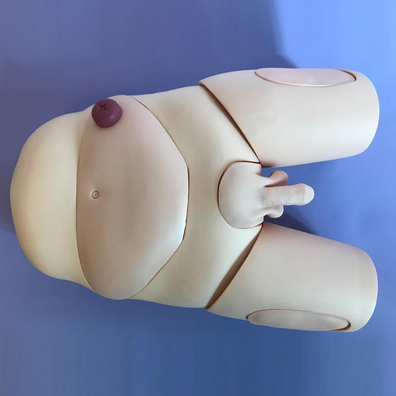 高级男女性别导尿模型生殖器官可互换护理操N作训练示教模具造瘘