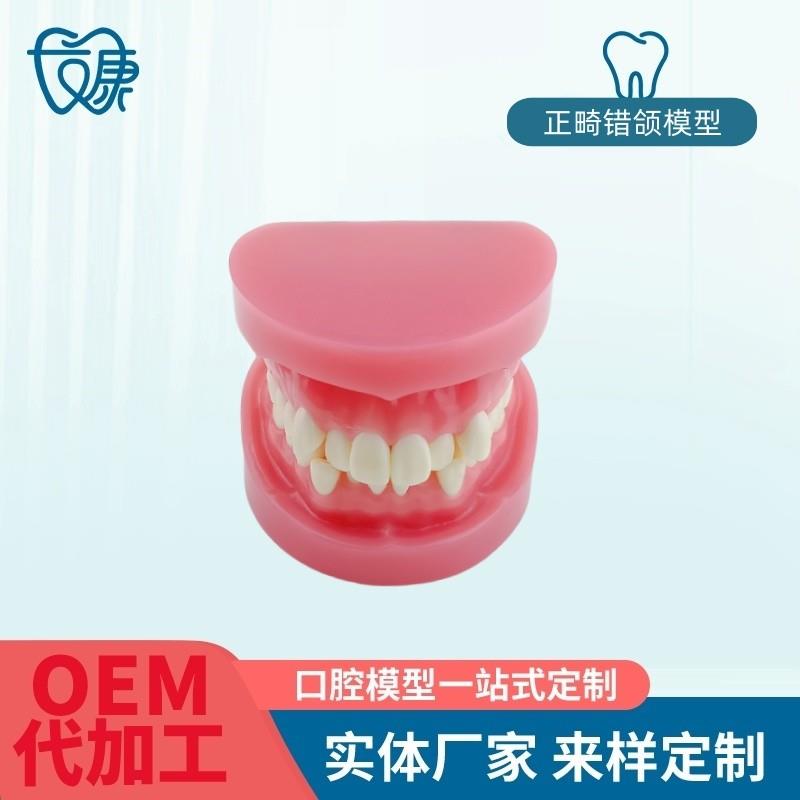 牙科牙齿材料模型牙模口腔正畸训练模I型牙模型标准练习正畸模型
