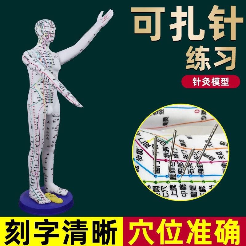 董氏奇穴人体模型仿真大号中医针灸可扎针十二经络V铜人全身穴位