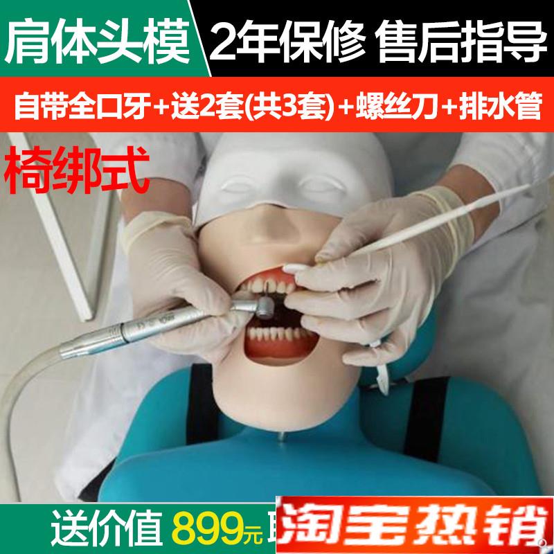 牙科口腔树脂根管种m植离体牙模牙备牙练习模型椅绑式肩体仿真头