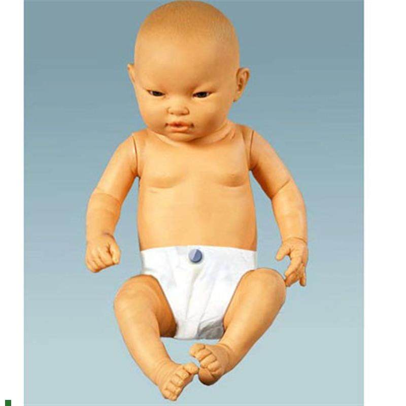 高级智能婴儿模型