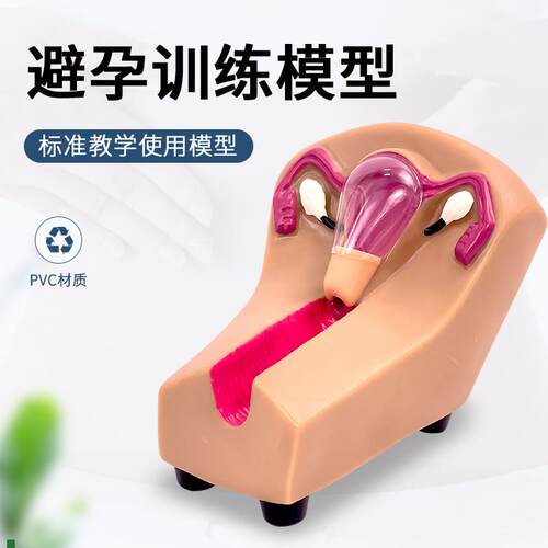 女性宫内避孕及训练模型rF5N女性上环训练模型女性节育计生模型
