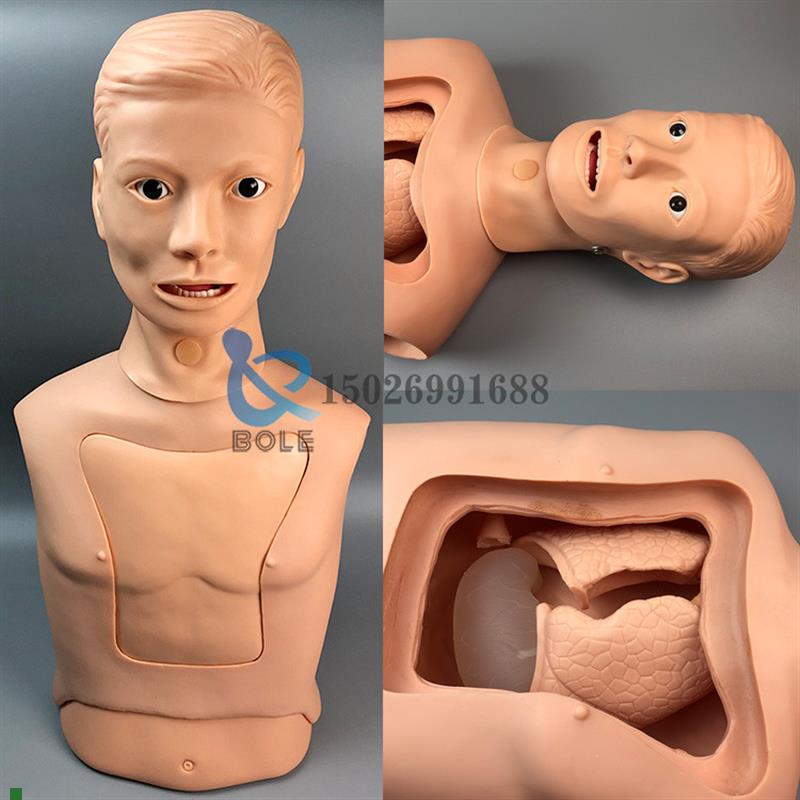 鼻胃管与气管g护理模型鼻饲管模具切开吸痰训练气管插管洗胃插胃