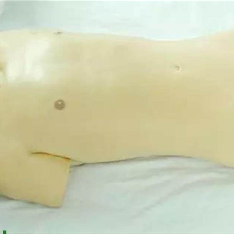 术前模型术前无菌操作训练模型手术无菌S操作训练模型人