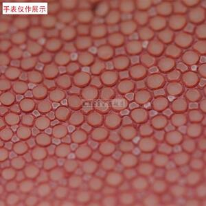 适用Carty定做魔鬼鱼o皮表带订做手表带珍珠鱼皮来样定做手表带凸
