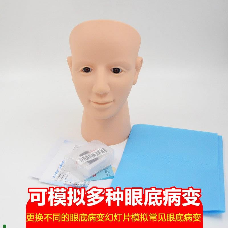 眼视网膜病变检查模型眼底检查病变诊断技巧教W具视网膜模型