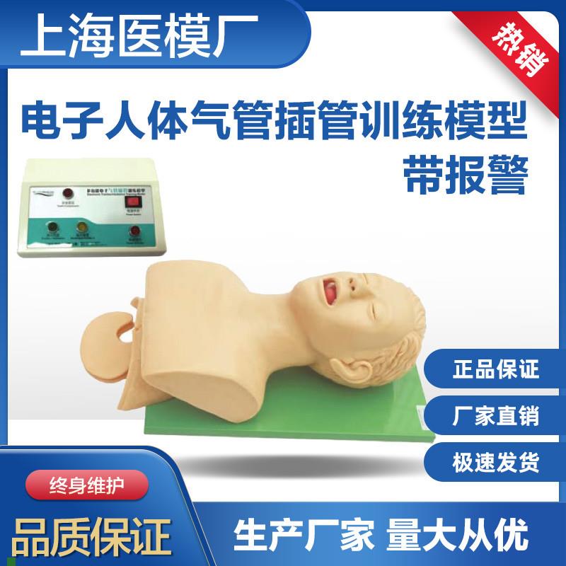 气管插管练习训练模型人体气管插管训N练模型5S带报警型