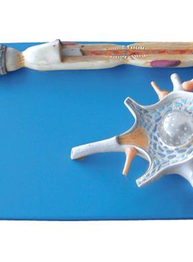 神经元放a大模型A18001/解剖模型