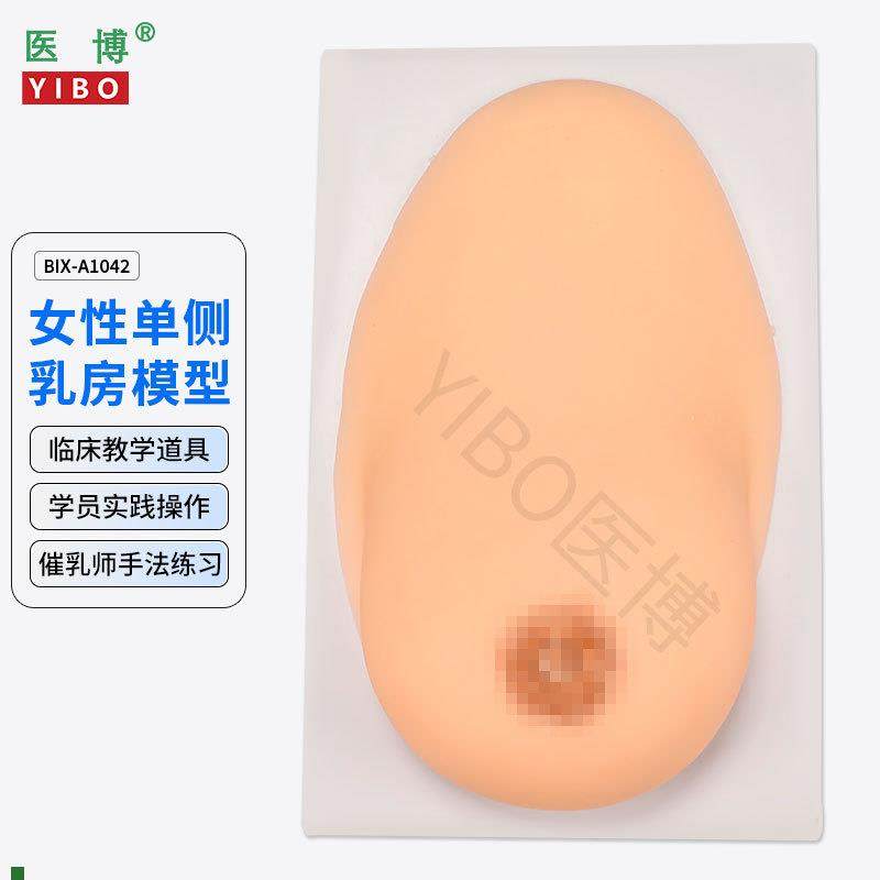医博BIX-1042成人女性单侧w硅胶乳房模型仿真触感催乳手法训练教,文具电教/文化用品/商务用品,教学标本/模型,淘宝优惠券,粉丝福利购,淘宝优惠卷