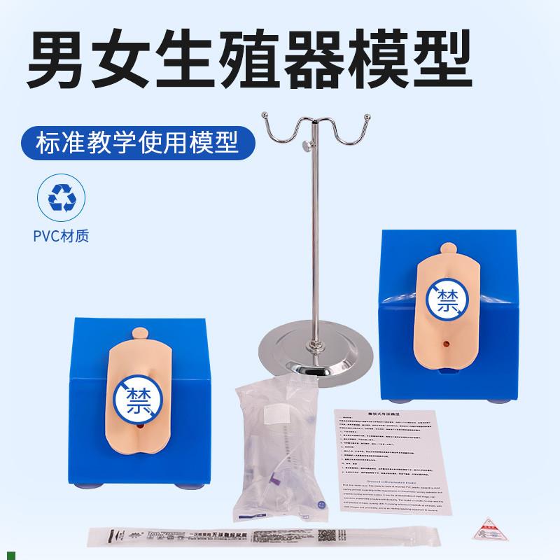 高级着装式e女性导尿模型外阴护理操作模块真实导尿操作训练模型