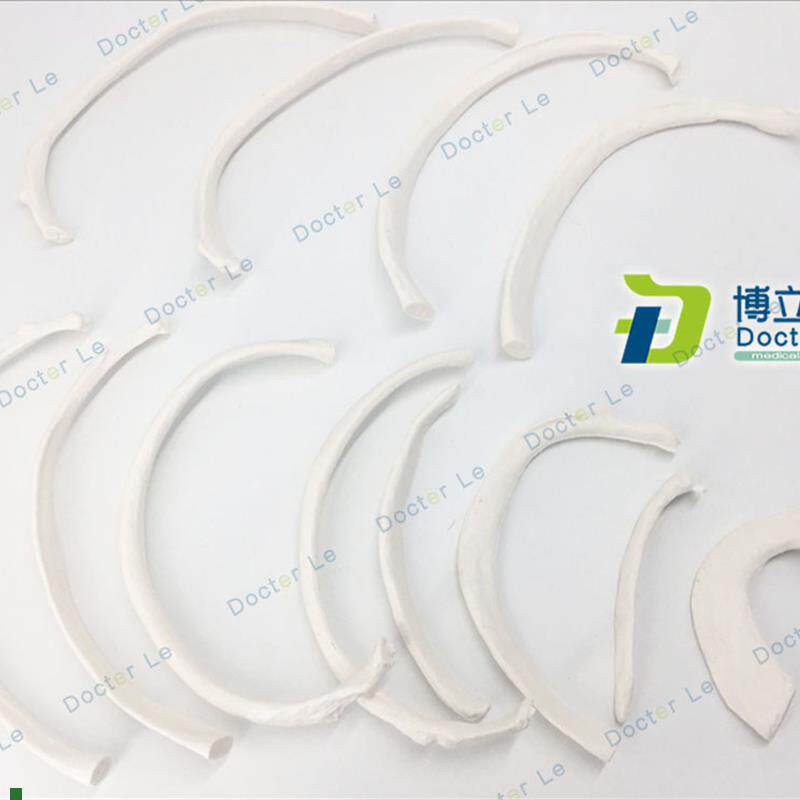 人体骨骼散骨模j型骨架标本模型美术医学艺用疼痛骨科胸肋骨模型