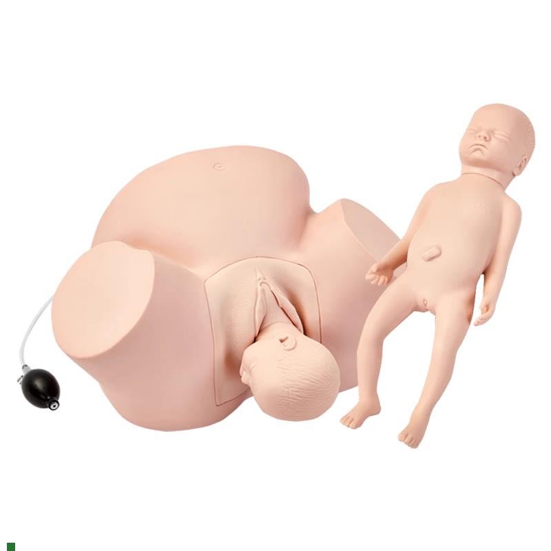 高级难产示教模型分u娩难产示教模型分娩演示模型