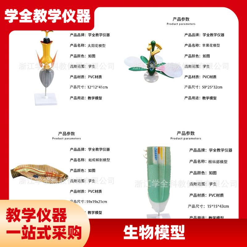 高中生物模型教学演示教s具生物动物模型植物模型生物教学仪器