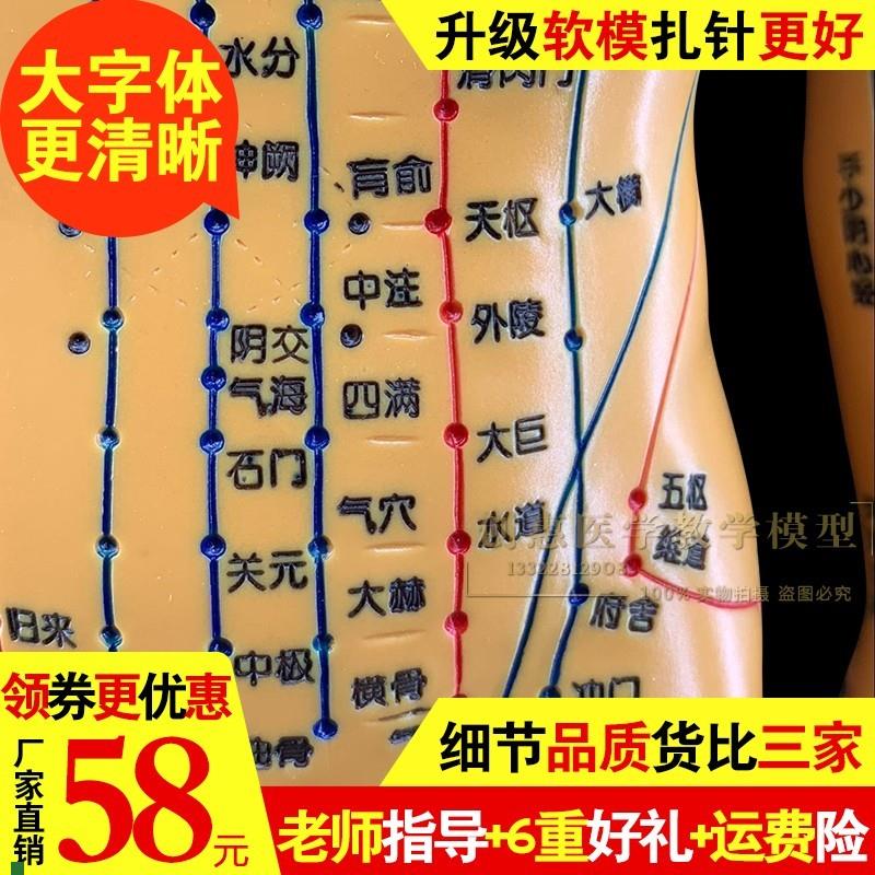 针灸穴位人体模h型经络教学模型中医超清小铜人推拿按摩练习硅胶