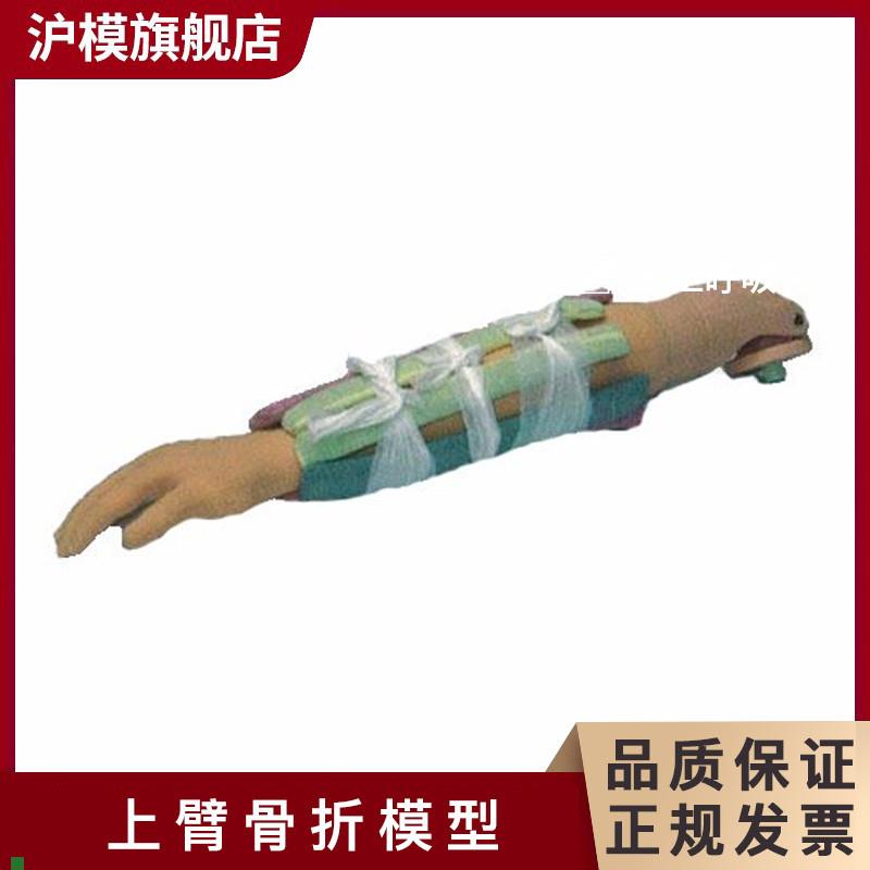 沪模HM/H340上臂k骨折模型可用于手法复位及小夹板固定训练上臂骨