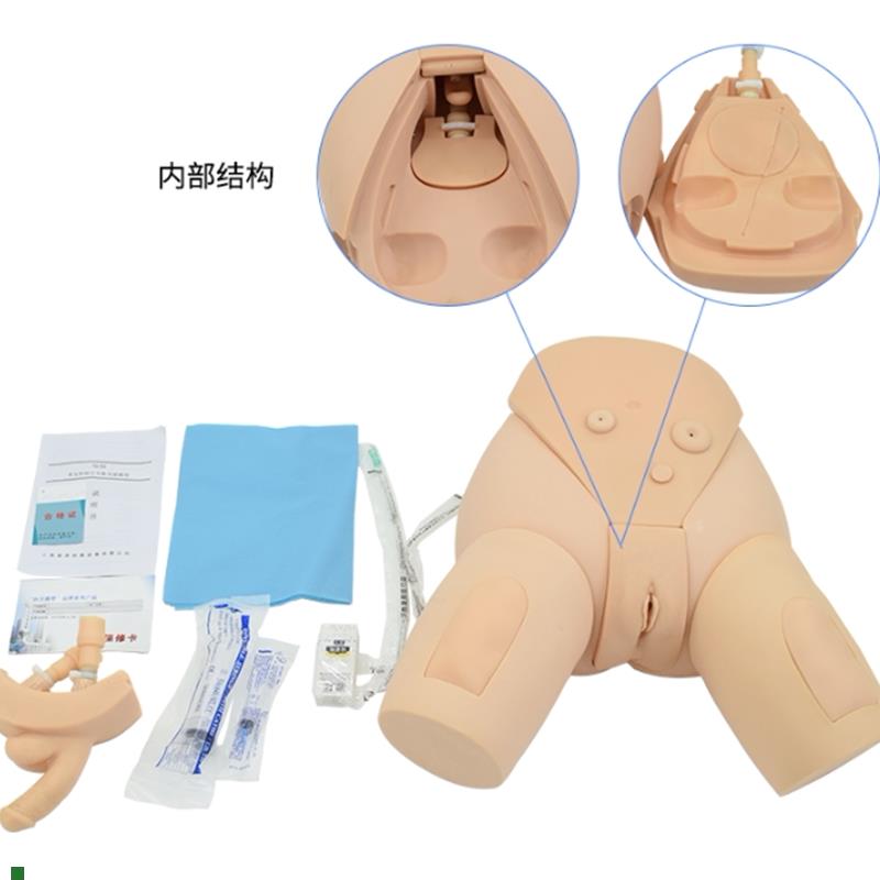 下半身导尿护理模型整体导尿培训模型U男女性导尿模型