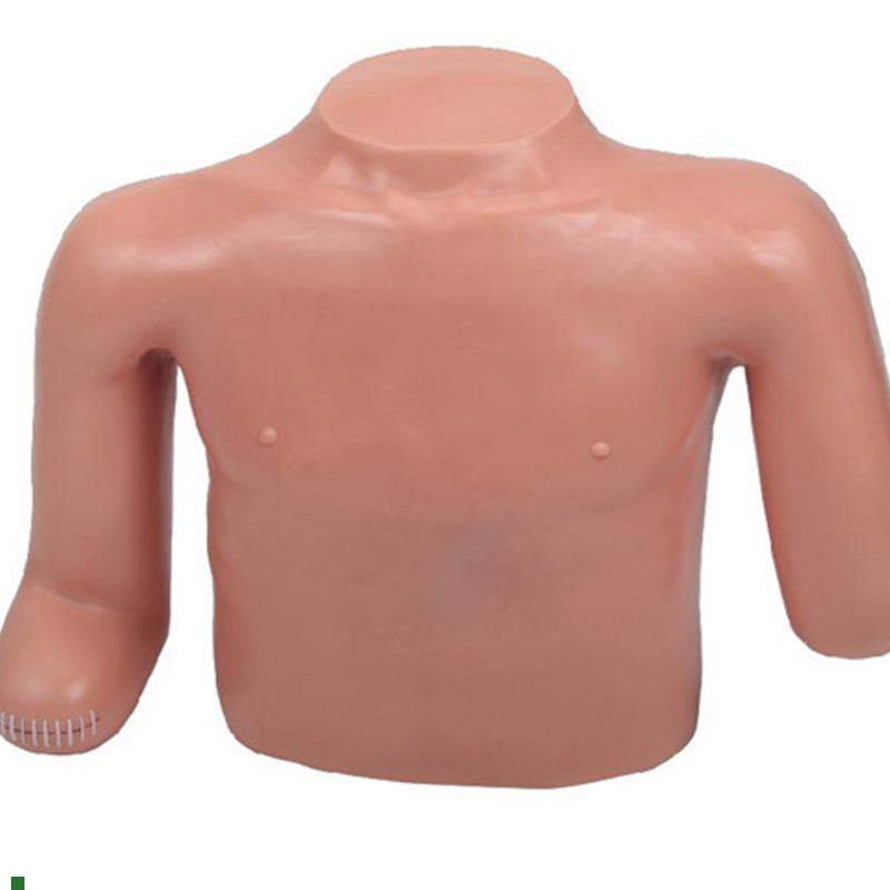 高级高位包扎训练模型头颈部胸部和上肢截.肢练习模具