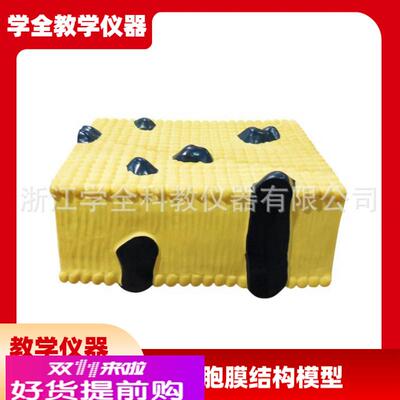 细胞膜结构模型 初高中生物实验器材教学仪器模型结构教学仪器