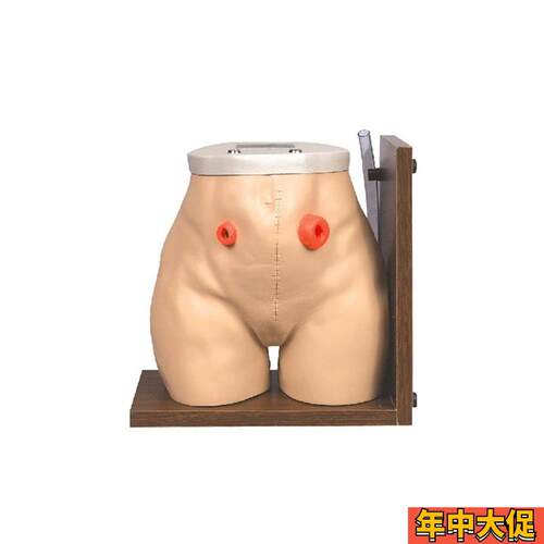 瘘管造口术护理模型结肠回肠v造瘘口冲洗教学家政培训训练假人模