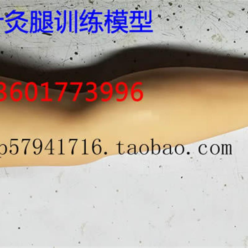 针灸腿训练模型针刺大s腿训练模型成人下肢中医针灸练习模型