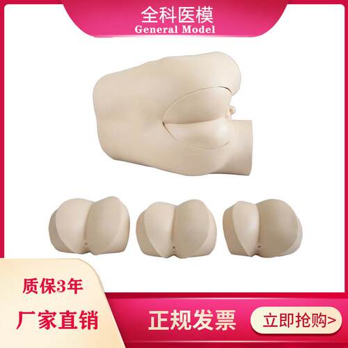 高级直肠指诊检查l模型前列腺触诊模型 肛门外用检查诊断诊治模型