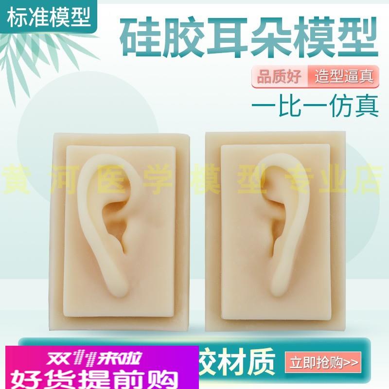 硅胶耳朵模型 软体耳朵模型 人体耳朵模型 仿真人耳 助听展示道具