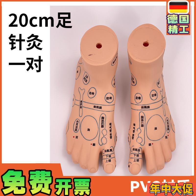 超清晰19ChM足部反射区模型人体穴位教学脚模针灸推拿按摩穴位
