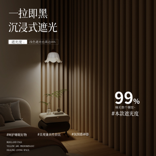 窗帘遮光阳台卧室挂钩式新款遮光帘出租屋不透光窗帘防水防晒遮阳