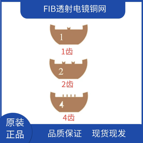 tedpella电镜实验室fib