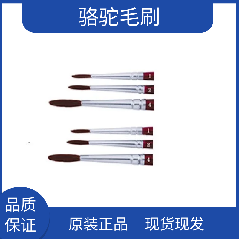 ted pella电镜实验室专用清洁扫描电镜 地质 法医等骆驼毛刷11859