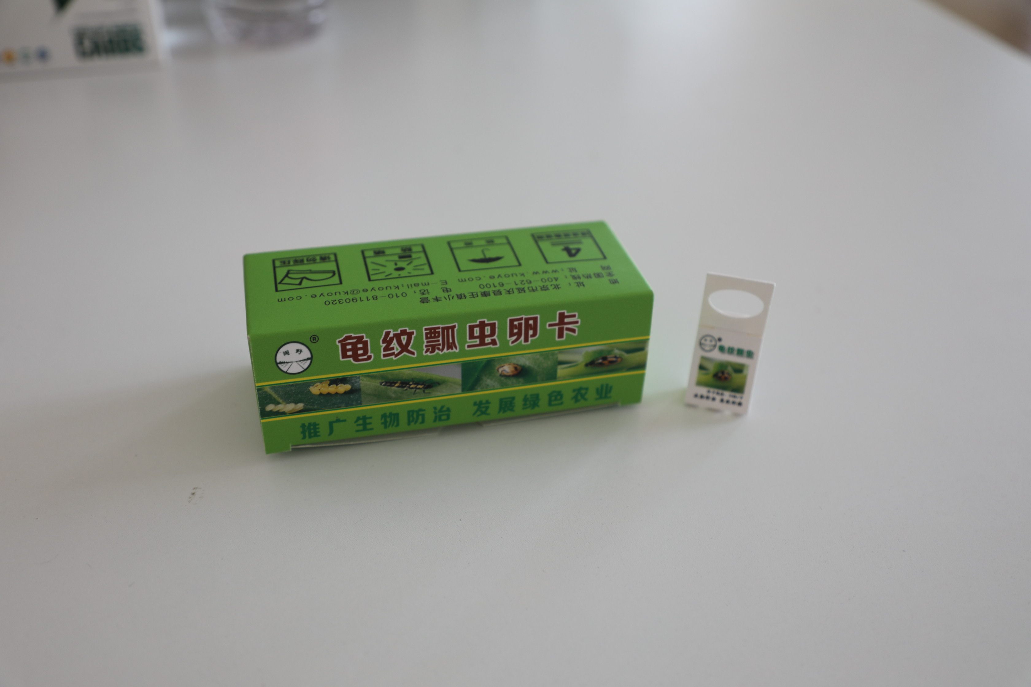 顺丰速运~龟纹瓢虫卵卡   天敌防控   蚜虫