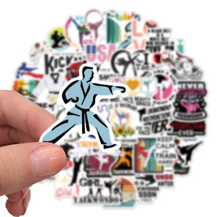 2023New 50Pcs Kung Fu Taekwondo Fighting Stickers For Laptop
