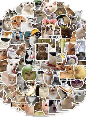 100Pcs Cute Cat Stickers, Funny Cat  Vinyl Stickers Decals