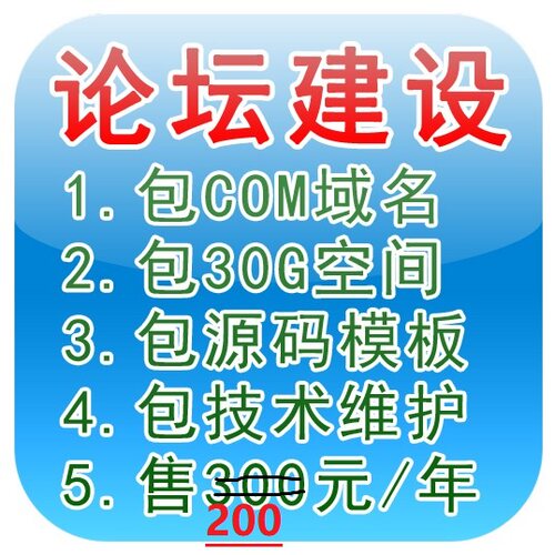 论坛建设一条龙DZ社区Discuz网站搭建制作模板BBS包安装空间源码 - 封面