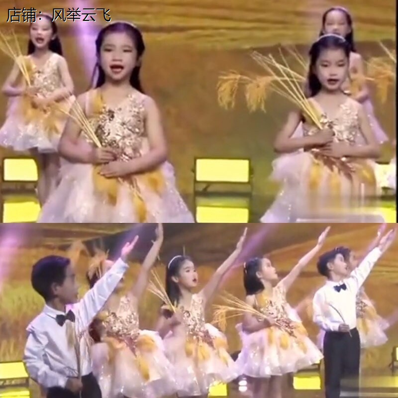 稻田里的中国梦朗诵演出