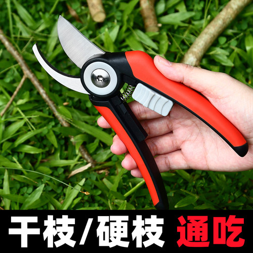 园艺剪刀修剪树枝剪果树修枝专用