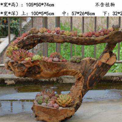 多肉朽风化枯木树根自然原老木槽阳台长方形户外创意旧木质花盆.