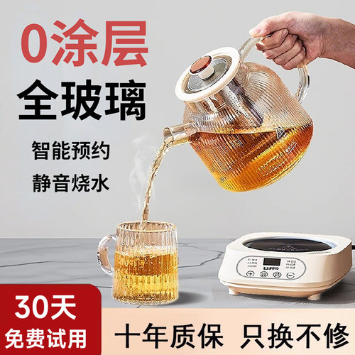 无胶水花茶养生壶炖煮一体纯全