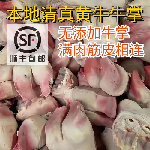 本地清真整只黄牛牛蹄蹄掌牛筋