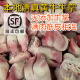 顺丰整只新鲜黄牛蹄掌牛蹄子 黄牛掌尖带牛蹄筋 原切牛脚掌牛爪子
