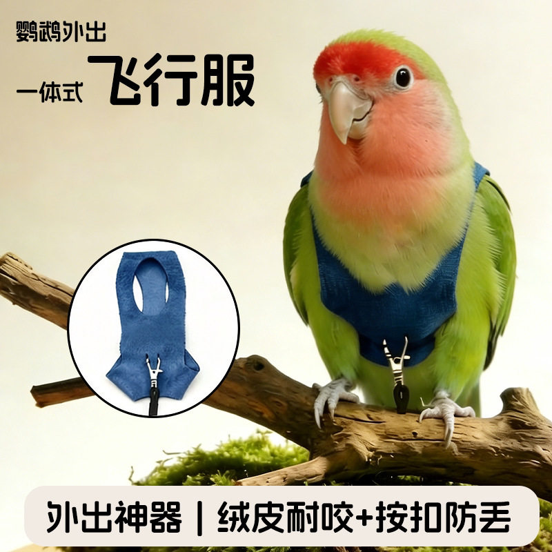 鹦鹉外出服一体式飞行服鸟禽服饰绒皮耐咬按扣防丢外出可宠物用品