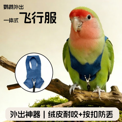 鹦鹉外出服一体式飞行服鸟禽服饰绒皮耐咬按扣防丢外出可宠物用品