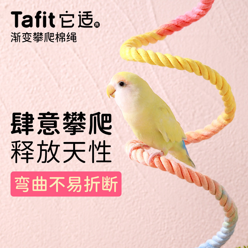 宠物鹦鹉旋转攀爬绳玄凤牡丹虎皮秋千攀爬玩具棉绳站杆鸟鹦鹉用品