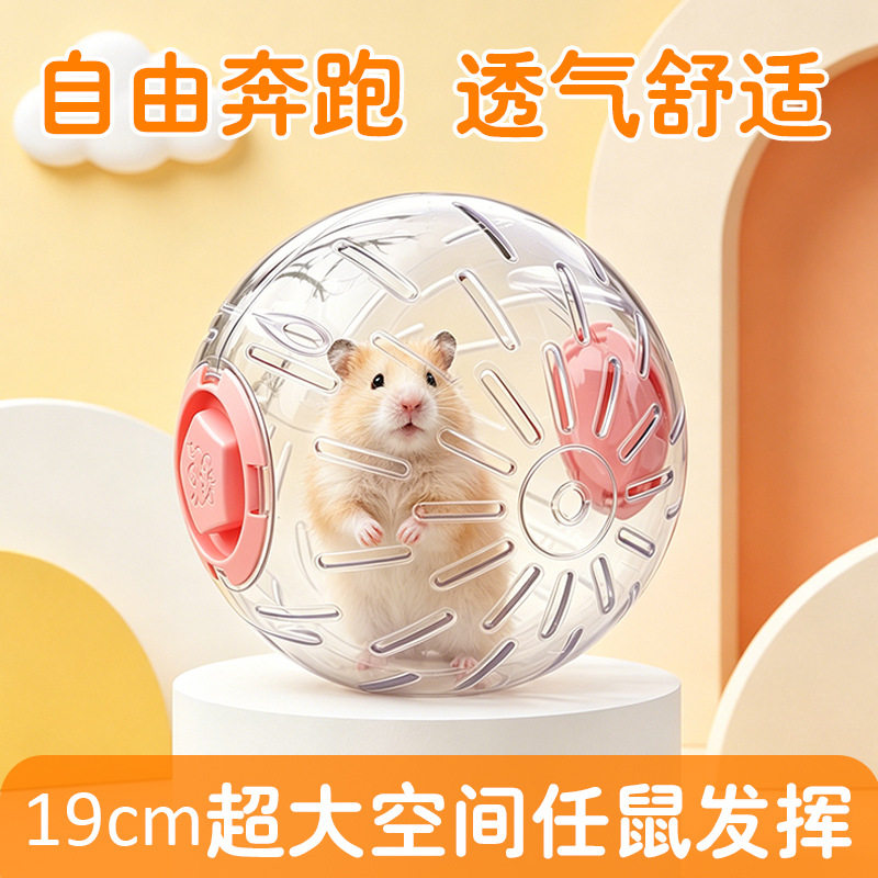 冠之亚金丝熊花枝鼠专用运动跑球小仓鼠日常饲养互动玩具用品
