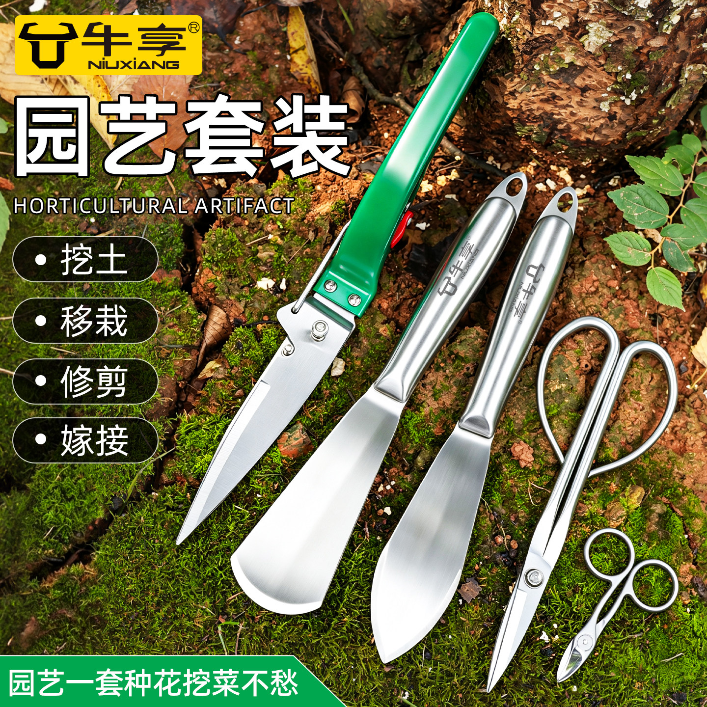 不锈钢迷你小树枝剪花卉嫁接套装图片