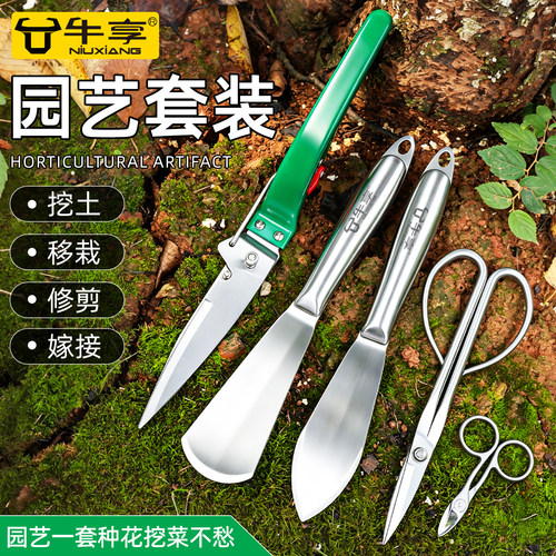 不锈钢迷你小树枝剪花卉嫁接套装