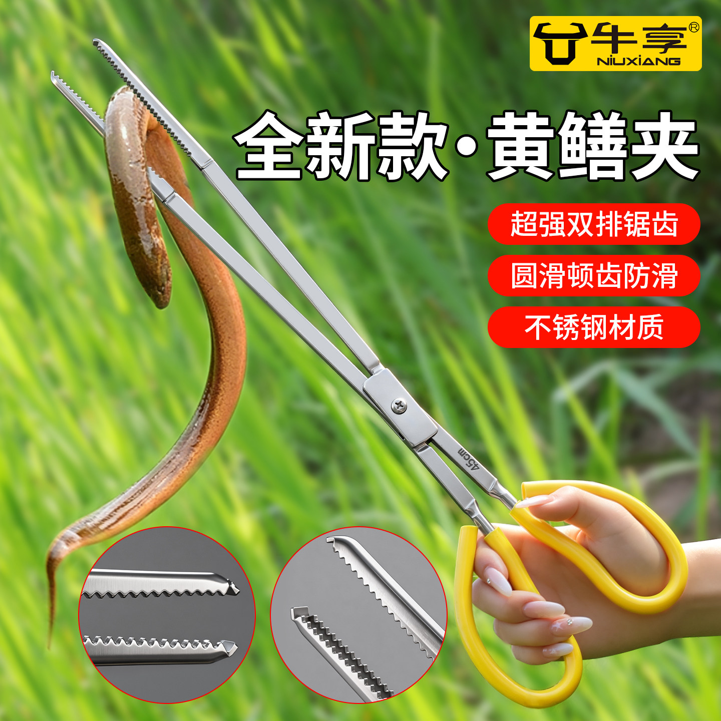 新款黄鳝夹泥鳅螃蟹鳝鱼夹防滑防脱抓捉专用赶海夹加厚不锈钢钳子