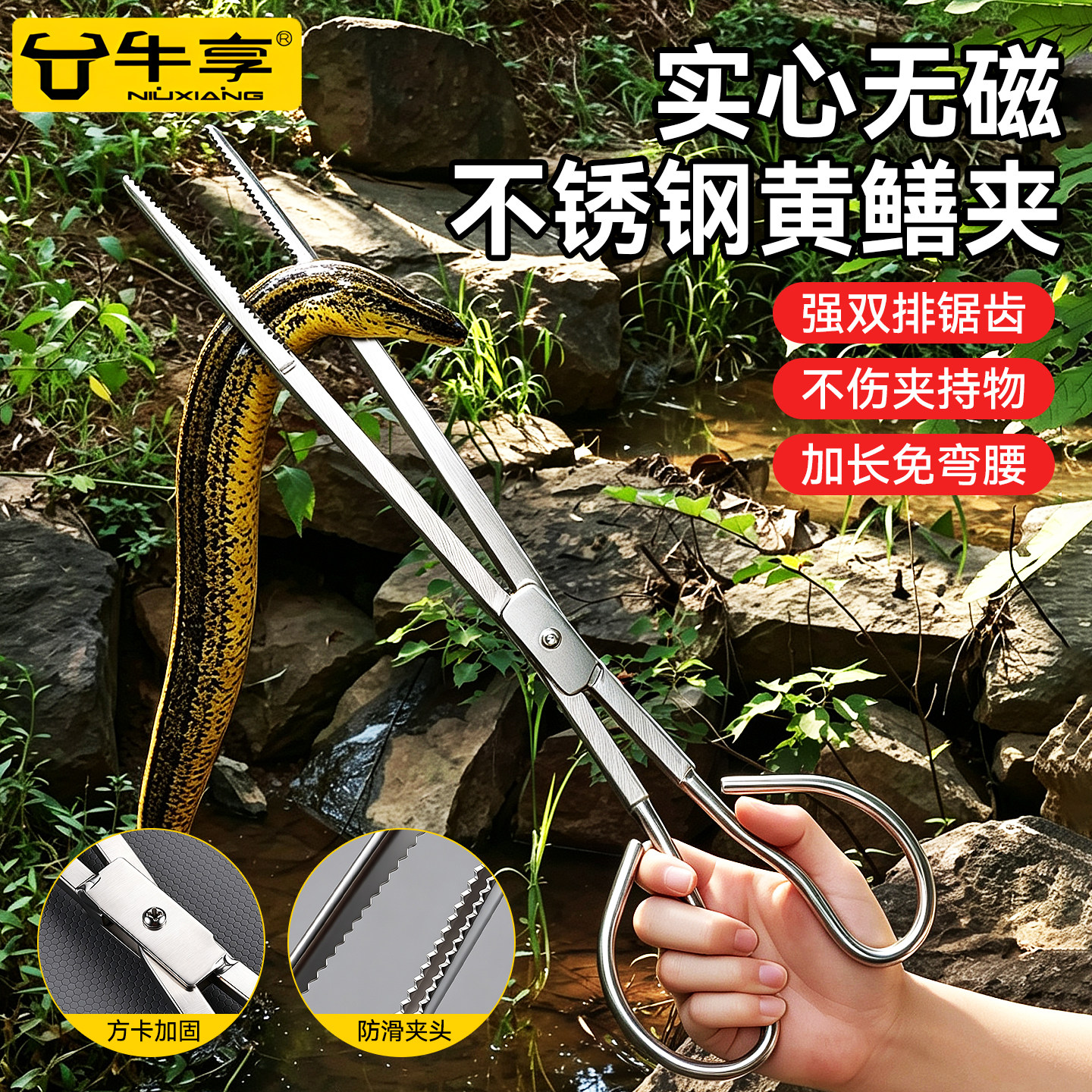 黄鳝夹子不锈钢泥鳅鳝鱼夹